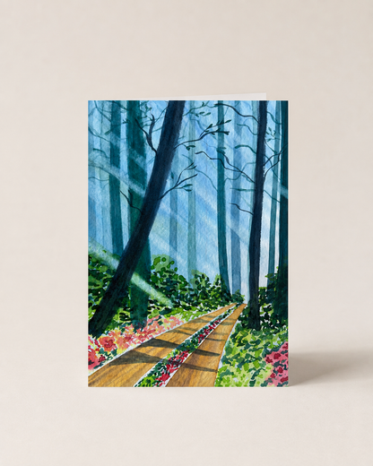 Sunlit Forest Path — A5 Art Greeting Card